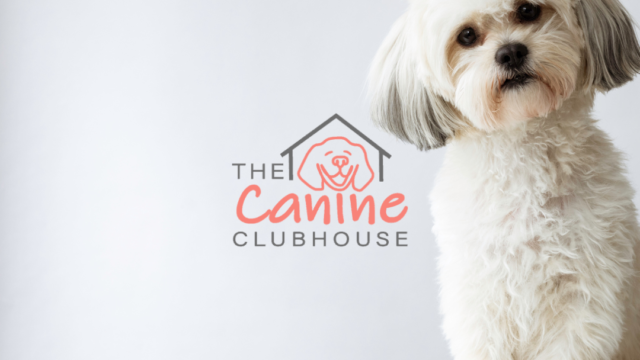 Canine Clubhouse