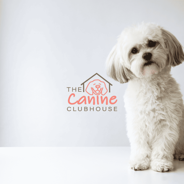The Canine Clubhouse