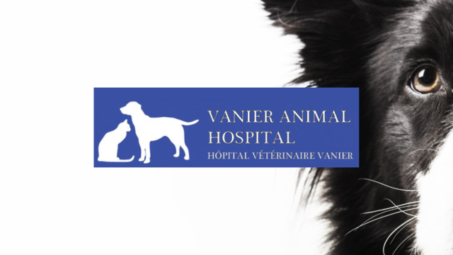 Vanier Animal Hospital