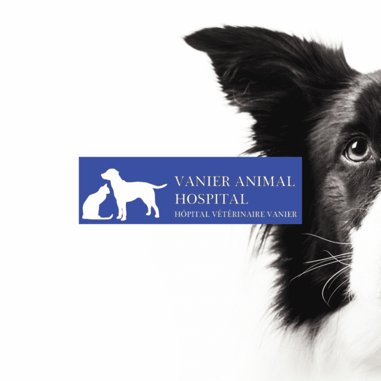 Vanier Animal Hospital
