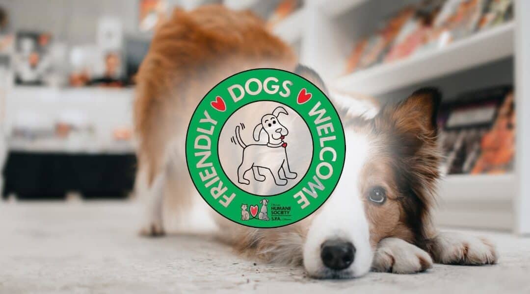 New Partnership: OHS Dog-Friendly Business Program — Free for Vanier BIA Members