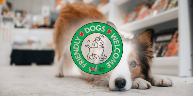 New Partnership: OHS Dog-Friendly Business Program — Free for Vanier BIA Members